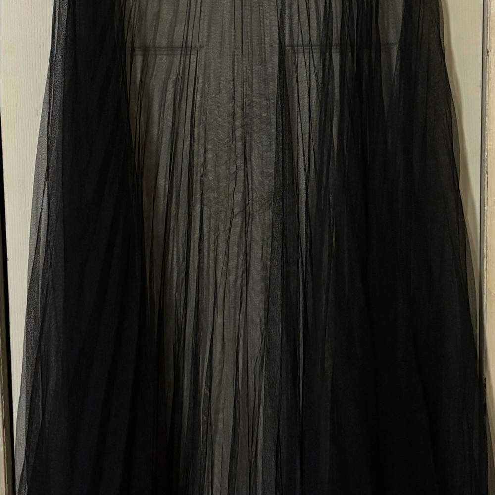 Elegant Black Sheer Skirt